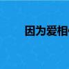 因为爱相信爱歌曲（因为爱相信爱）