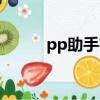 pp助手客户端（pp助手电脑版）