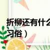 折柳还有什么特定寓意（折柳是什么情况下的习俗）