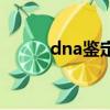 dna鉴定用什么试剂（dan鉴定）