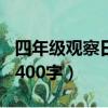 四年级观察日记400字作文（四年级观察日记400字）