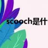 scooch是什么意思（scoops是什么意思）