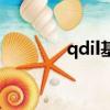 qdil基金（qdll基金是什么）