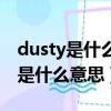 dusty是什么意思中文翻译怎操作啊（dusty是什么意思）