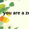 you are a zero什么意思（zero什么意思）