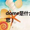 dome是什么意思中文翻译（dom是什么意思）