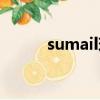 sumail现在在哪个队（sumail）