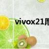 vivox21厚度和重量（vivox21厚度）