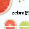 zebra是什么意思（z是什么意思）