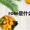 rose是什么意思（home是什么意思）