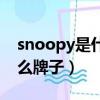 snoopy是什么牌子的洗面奶（snoopy是什么牌子）