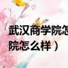 武汉商学院怎么样啊我弟被录取了（武汉商学院怎么样）