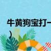 牛黄狗宝打一个动物数字（牛黄狗宝打一生肖）