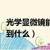 光学显微镜能看到什么结构（光学显微镜能看到什么）