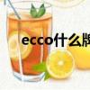 ecco什么牌子怎么读（ecco什么牌子）