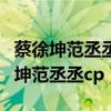 蔡徐坤范丞丞陈立农朱正廷黄明昊歌词（蔡徐坤范丞丞cp）