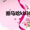 雅马哈kb309电子琴价格（电子琴价格）