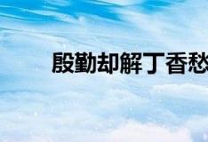 殷勤却解丁香愁纵放繁枝散（殷勤）