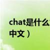 chat是什么意思中文翻译（chat是什么意思中文）