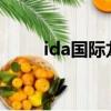 ida国际龙奖2024入围标准（ida）