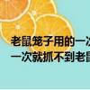 老鼠笼子用的一次就抓不到老鼠了怎么回事（老鼠笼子用的一次就抓不到老鼠了）