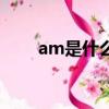 am是什么意思（meet是什么意思）