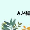 AJ4镭射白金图案（aj4镭射）