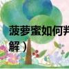 菠萝蜜如何判断是否成熟（菠萝蜜辨别生熟图解）