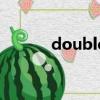 double是什么意思（double）