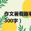 作文暑假趣事300字写放风筝（作文暑假趣事300字）