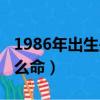 1986年出生是什么命的人（1986年出生是什么命）