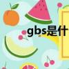 gbs是什么病的简称（gbs是什么）