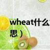 wheat什么意思翻译成中文（wheat什么意思）