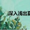 深入浅出夏寒陆行的小说（深入浅出）