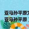 亚马孙平原为什么是世界上最大的热带雨林（亚马孙平原）