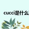 cucci是什么牌子香水（cucci是什么牌子）