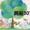 两厢307手动优缺点（两厢307）