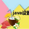 java设置变量值（java变量设置）