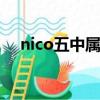 nico五中属性（nico的五种属性maso）