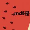 md5是什么链接（md5是什么）