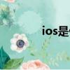 ios是什么内核（ios是什么）