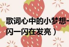 歌词心中的小梦想一闪一闪在发亮（小梦想一闪一闪在发亮）