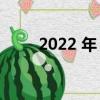 2022 年 Steam Deck 的最佳皮肤