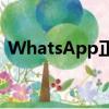 WhatsApp正在测试允许企业添加封面照片