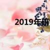 2019年研究特许经营业务的可能方法