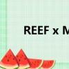 REEF x MLB以更新的合作卷土重来