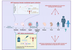 探索辅助生殖中绕过自然选择的风险